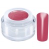 022 Rose - Ng Standard Color gel 5ml