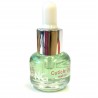 Cuticle Oil - Melon 15 ml