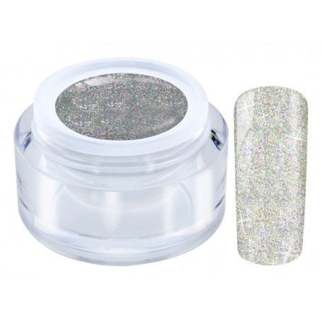 1005 Glitter Silver - LED Galaxy HOLO Gel 4,5gr