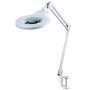 LED Magnifier Lamp 9006