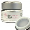 NG All In One UV/LED Gel 30gr