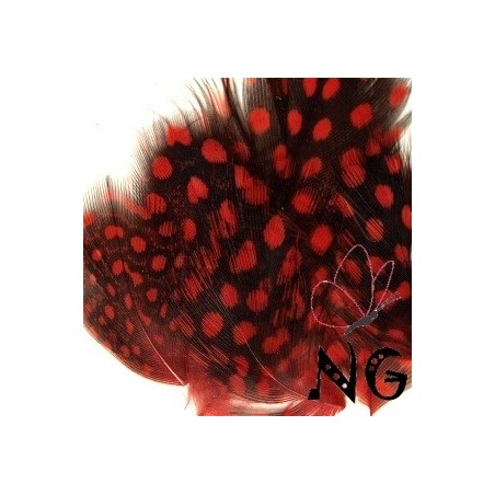 Nail Art Feather Red