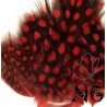 Nail Art Feather Red