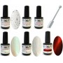 1 - EFFECT  COLLECTION  - 6 Colors NG LED/UV Soak Off Gel Polish 15ml