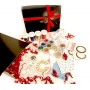 Christmas Nail Art Kit (ordinarie pris 750:-)